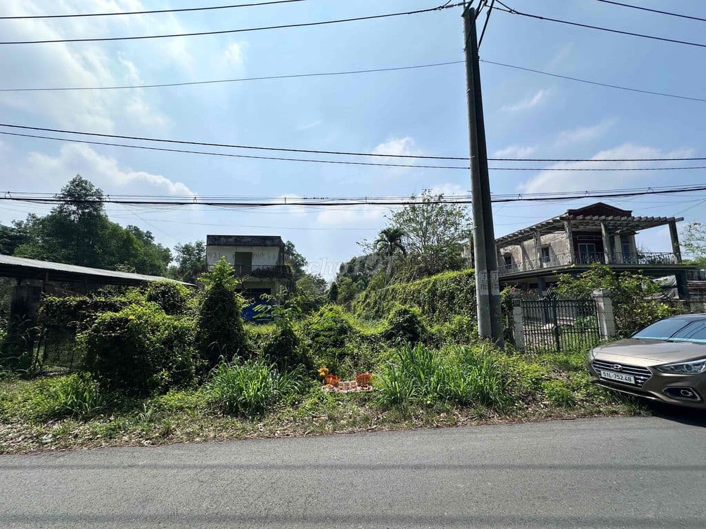 Bán đất 1867m2 300m2 thổ 2MT (9 - 21m), 12,5 tỷ tại Bàu Lách, Củ Chi, - Ảnh 2