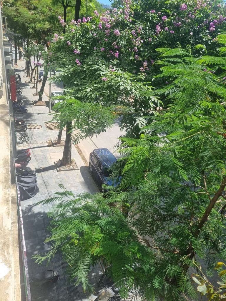 Bán nhà mặt Phố Nguyễn Cảnh dị, Hoàng Mai, Hà nội. 54m2, 4Tag, 31,5 tỷ - Ảnh 2