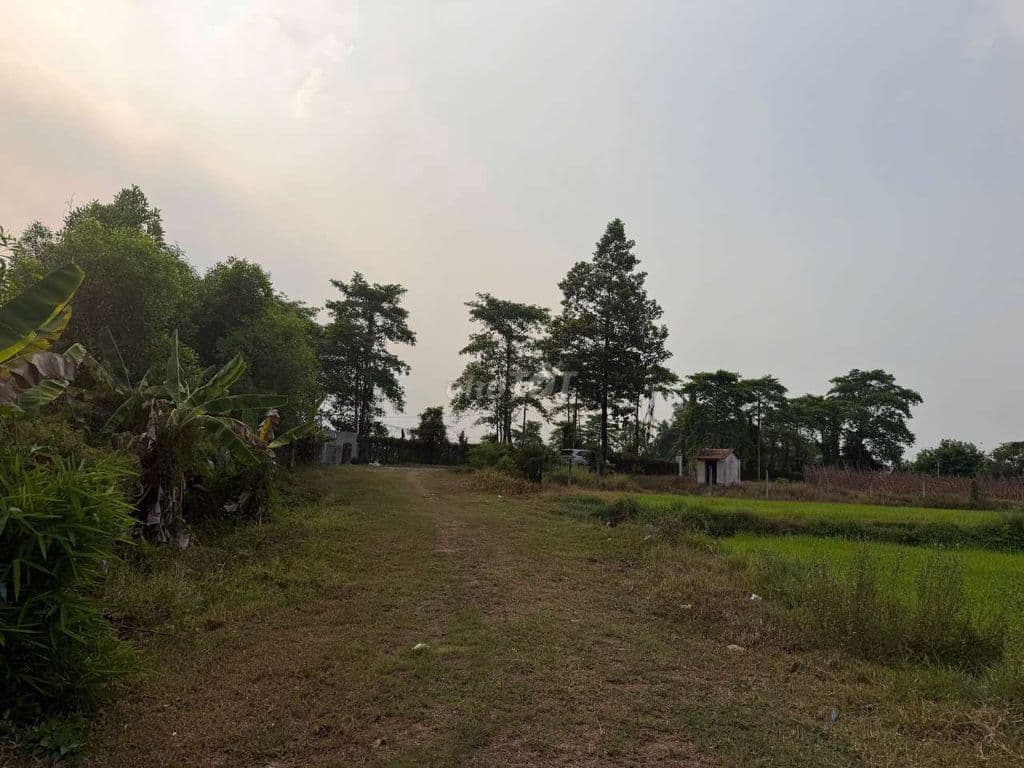 bán đất tại Phước Thạnh
