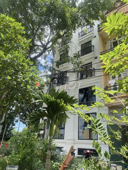 bán nhà 5 tầng phố tây trà view công viên - Ảnh 3