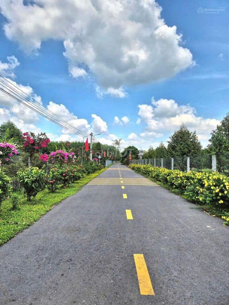 Chủ ngộp bán gấp đất 256m2 , ngay X.Tân An Hội ,Củ Chi Giá 735 triệu - Ảnh 3