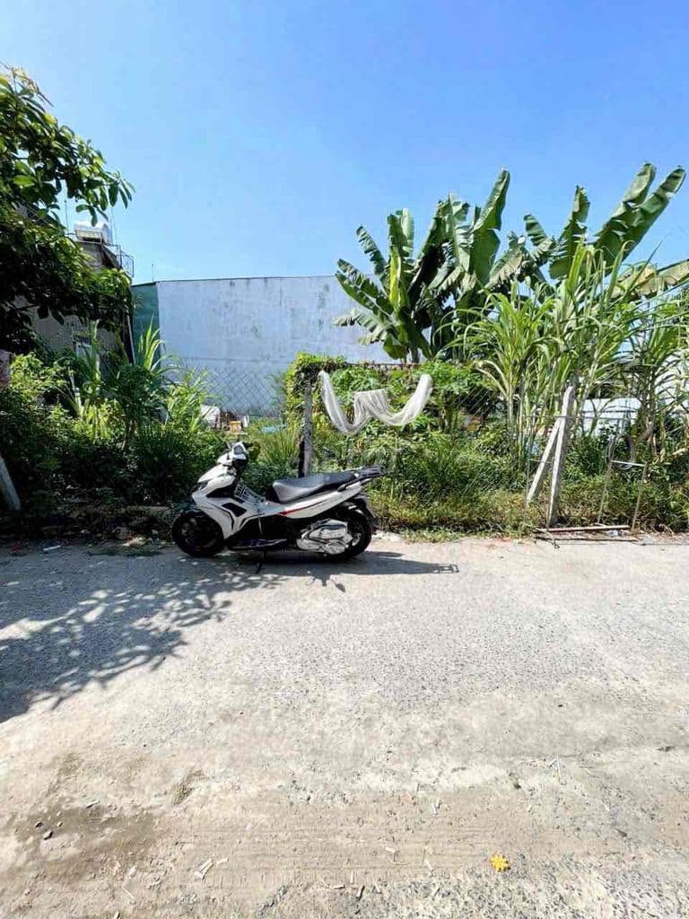 ĐẤT THỔ CƯ HXH THẠNH XUÂN 52 Q.12 SHR - Ảnh 3