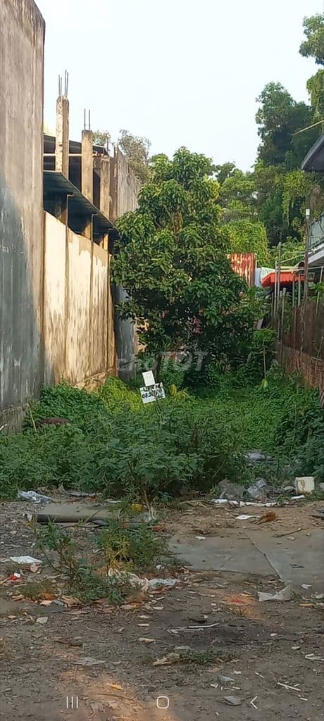 BÁN ĐẤT ĐƯỜNG TRẦN VĂN GIÀU, ĐỐI DIỆN KHU CÔNG NGHIỆP LÊ MINH XUÂN - Ảnh 2