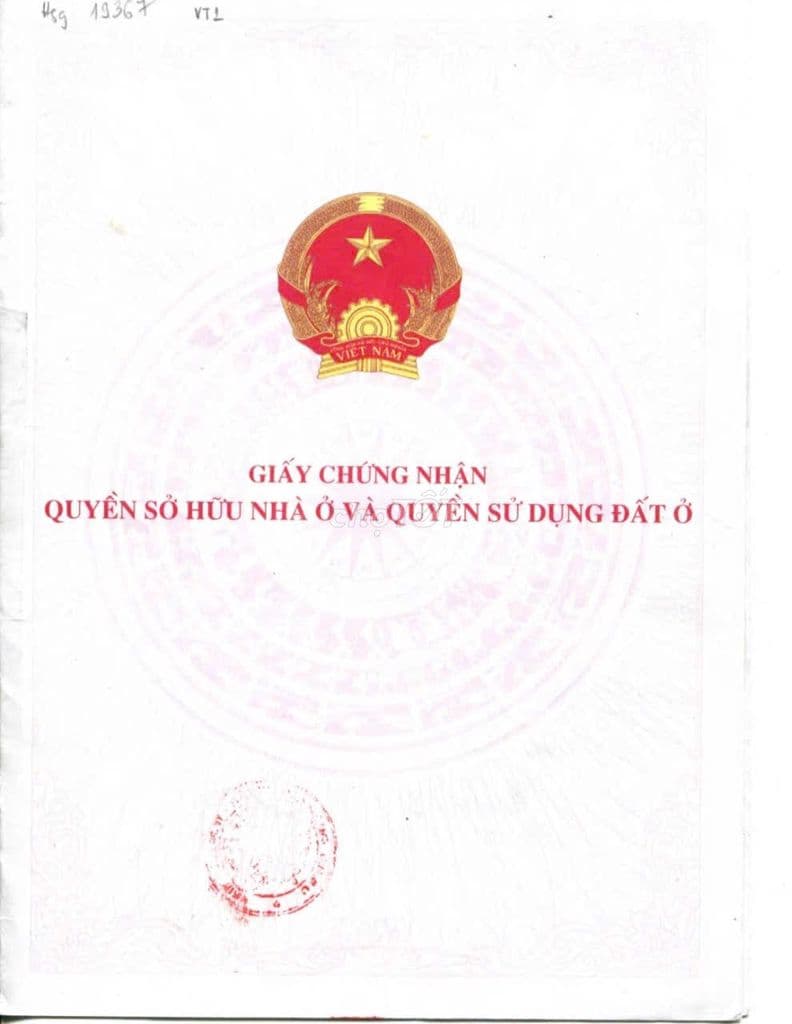 Loa Loa chủ cần ra đi căn nhà mặt đường Lê Văn Sỹ - Ảnh 2