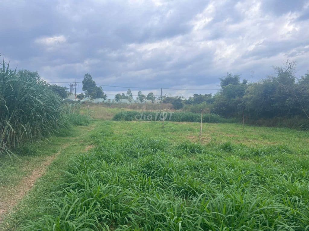 💎 SIÊU PHẨM CỦ CHI: 3812m2 NGUYỄN THỊ DÒN - 823m2 THỔ CƯ - CHO VAY 13T - Ảnh 2