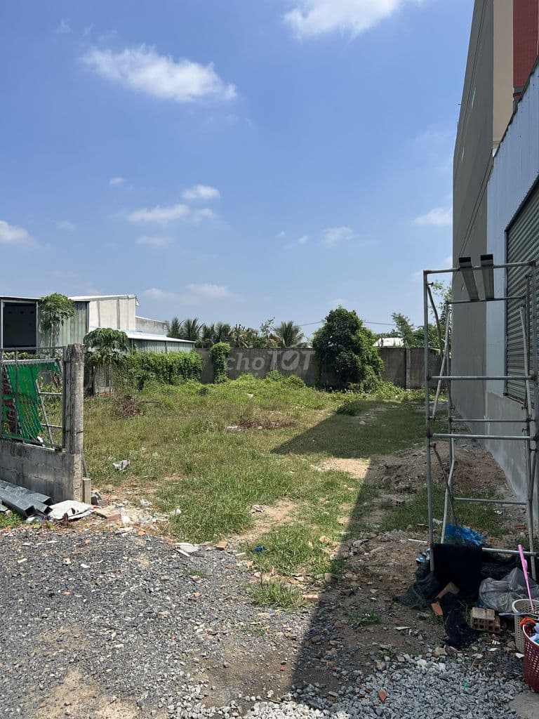 5x24m Tân An Hội - Kênh Đông - SHR - Đường Ôtô - Xây dựng tự do - Ảnh 3