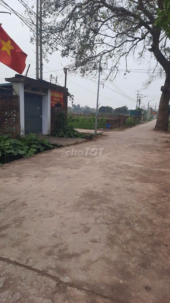 Cần bán gấp lô đất nông nghiệp 264m2 sát Đại Lộ Thăng Long - Ảnh 3