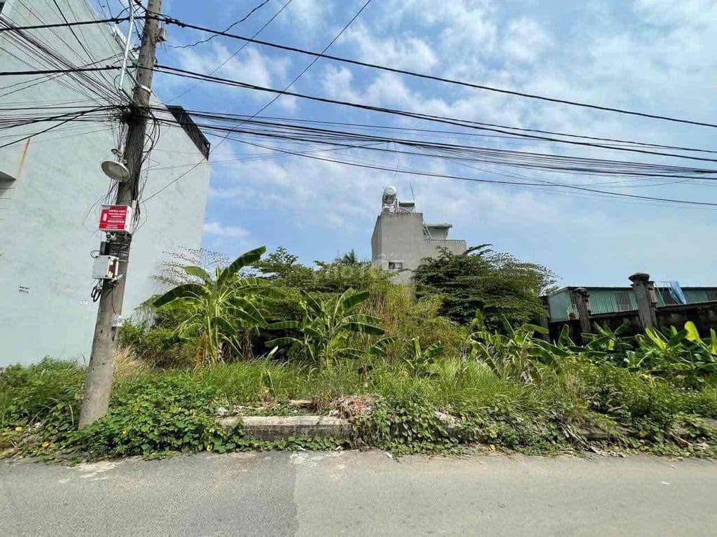 Đất KDC Long Trường - Ảnh 2