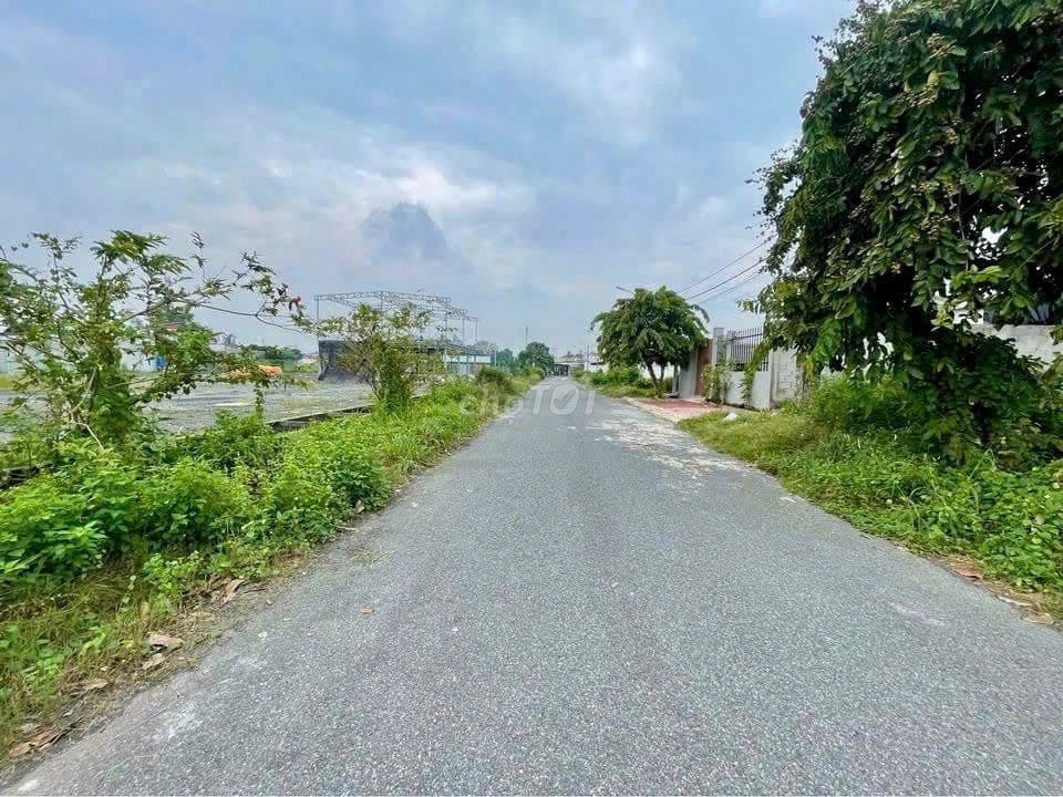 Cần bán lô đất vuông vức Thị Trấn Củ Chi - 200m2 - 590trieu - Ảnh 2