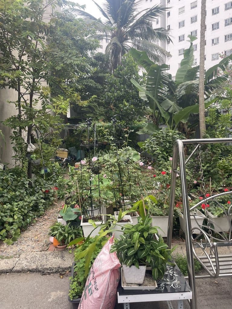 💥Bán Đất hẻm ô tô, Đường 12 -Trường Thọ, Thủ Đức. 82m - 6,5t