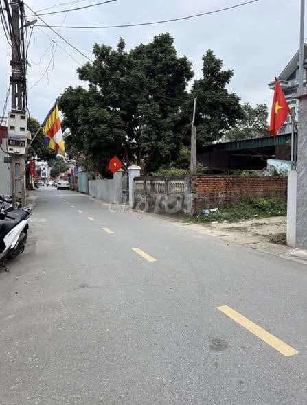 bán đất 112m2 tại Mai Đình, Sóc Sơn, giá 6 tỷ - Ảnh 2