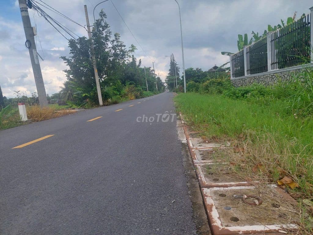 Bán 1.000m2 thổ, góc 2MT đường Lương Ngang, Tân Nhựt, Bình Chánh - Ảnh 3
