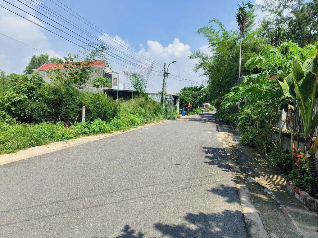 Bán đất 396m2 Phú An, TP.HCM, vị trí đẹp - Ảnh 2