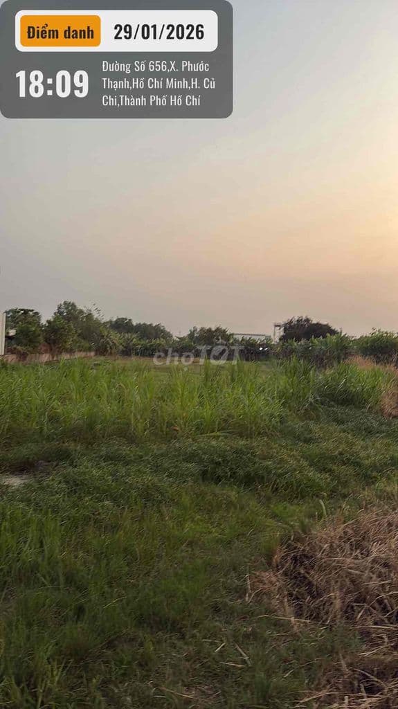 BÁN GẤP 3626 M2 ĐẤT THỔ CƯ PHƯỚC THẠNH CỦ CHI - Ảnh 3