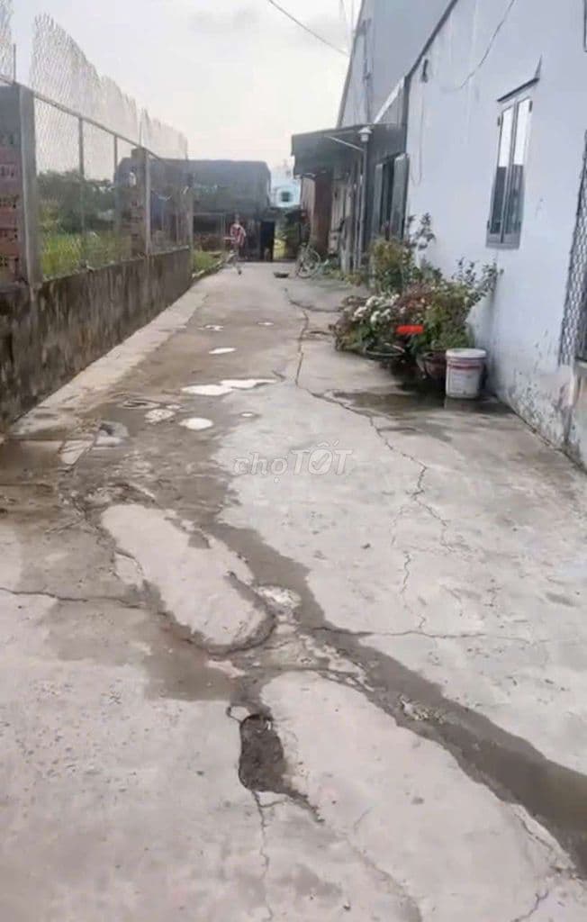 Bán đất xã Tân Hiệp Hóc Môn ngang rộng 16m (173) - Ảnh 2