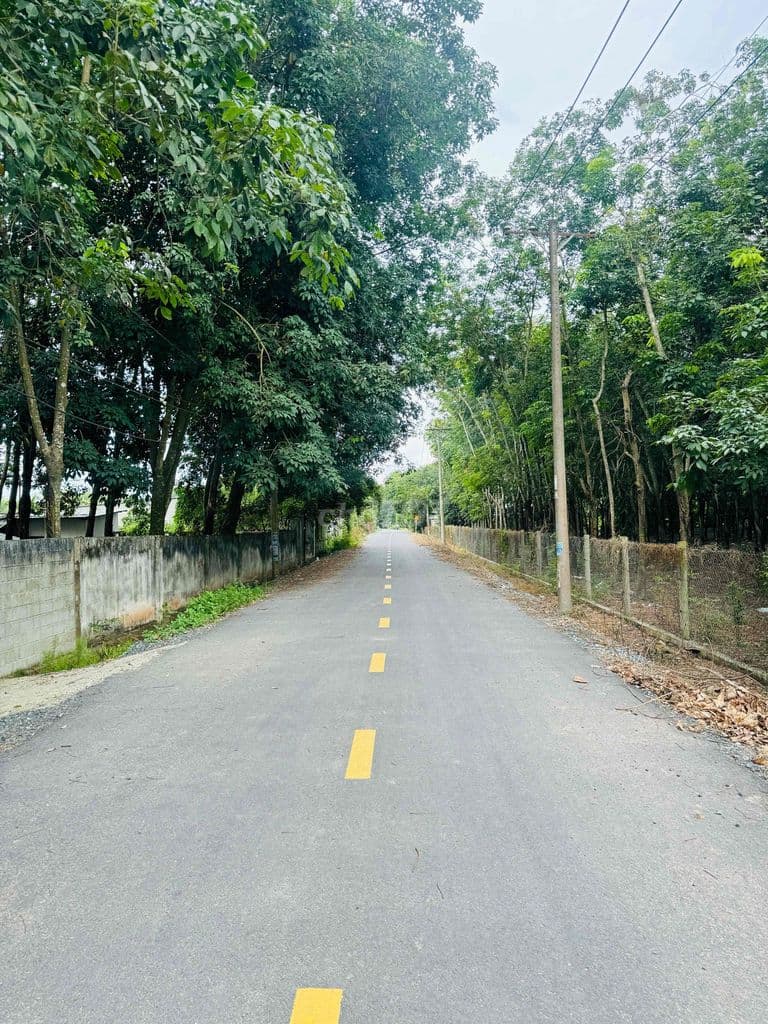 chính chủ bán 300m2 Đất mặt tiền Nhuận Đức full thổ cư