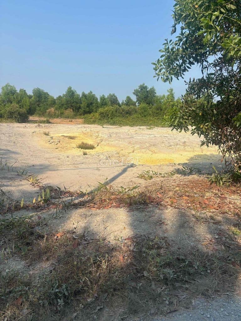 BÁN ĐẤT NGHỈ DƯỠNG CẦN GIỜ - Ảnh 3