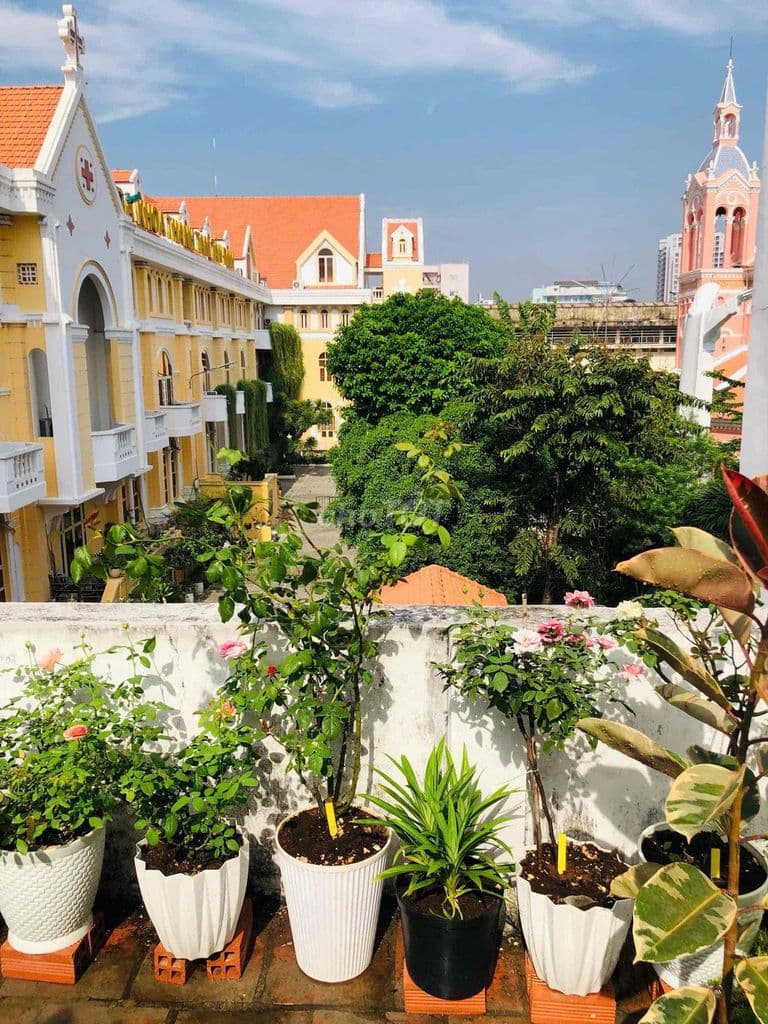 Ngộp bank giảm 5,5 tỷ-Bán Gấp Biệt thự võ thị sáu Q3-123,4m2 3 tầng - Ảnh 3