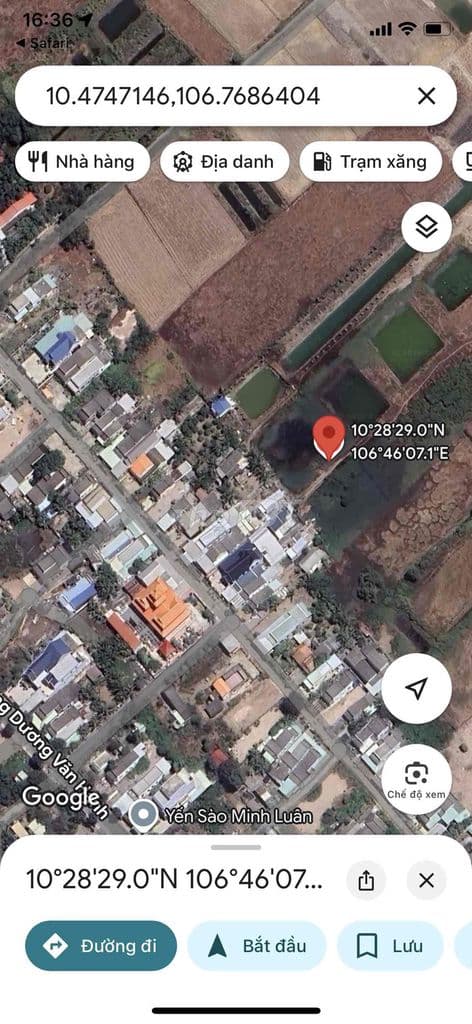 Bán 2859m đất cần giờ, sổ hồng riêng - Ảnh 2