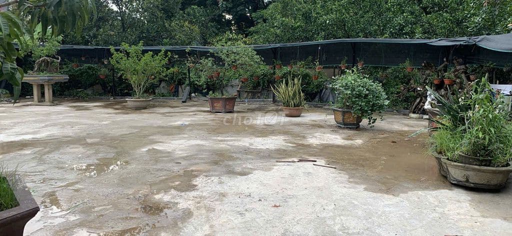 Đât đông bầu kim chung đông anh hà nội - Ảnh 2