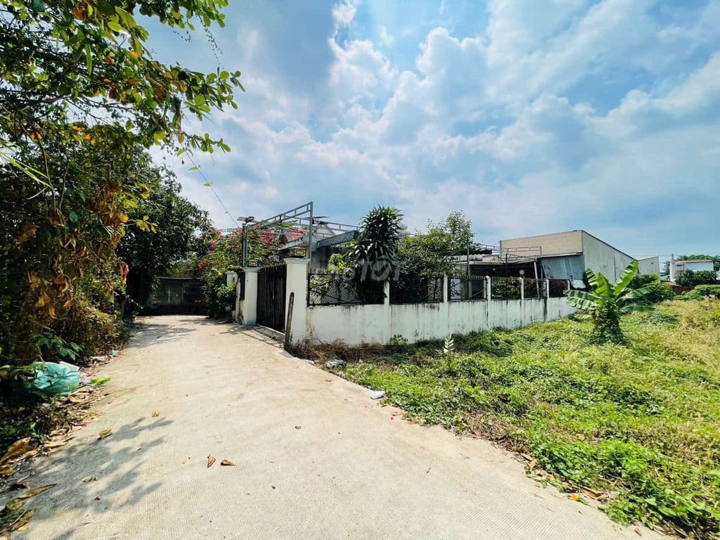 BÁN ĐẤT 458M2 Ở XÃ TÂN AN HỘI GẦN BỆNH VIỆN ĐK CỦ CHI, GIÁ CỰC TỐT - Ảnh 2