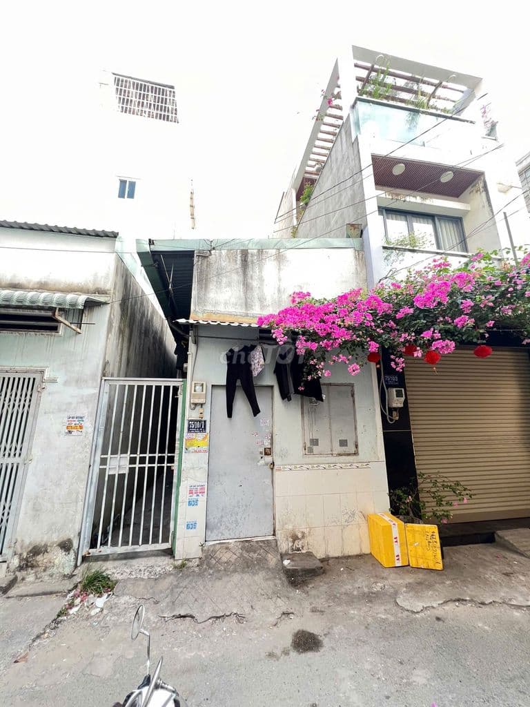Đất siêu sạch - Ảnh 3