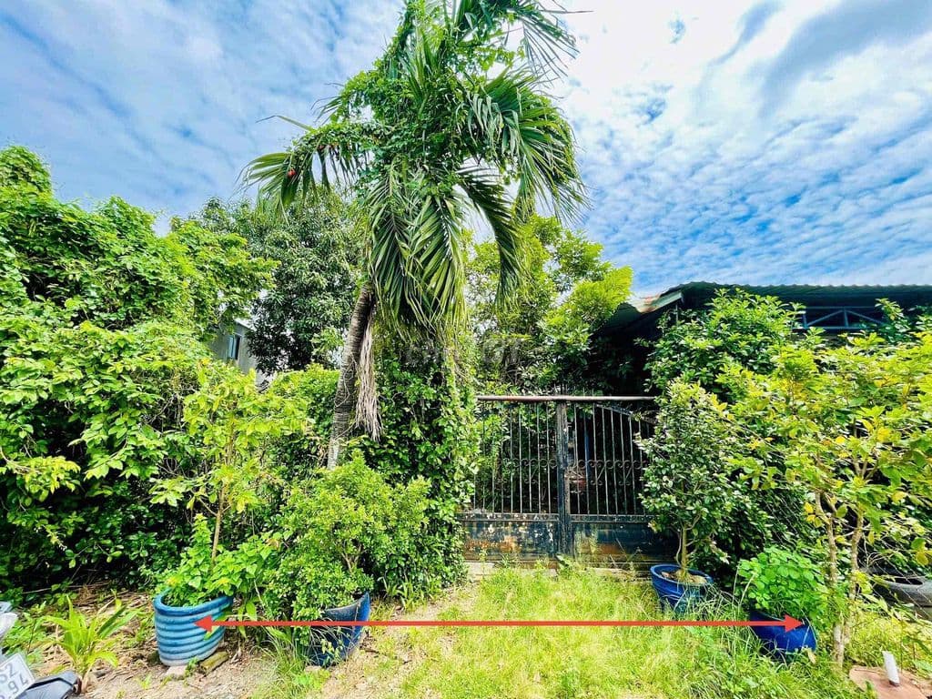 DO KHÁCH CẦN TIỀN ĐỂ CHỮA BỆNH NÊN BÁN LỖ LÔ ĐẤT ĐƯỜNG LƯU KHAI HỒNG