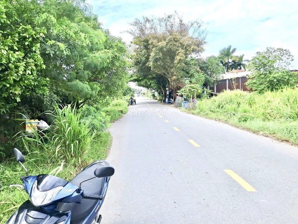 Lô đất 212m² đẹp-sổ riêng -giá chỉ 490 triệu-XÃ TÂN THÔNG HỘI - Ảnh 2