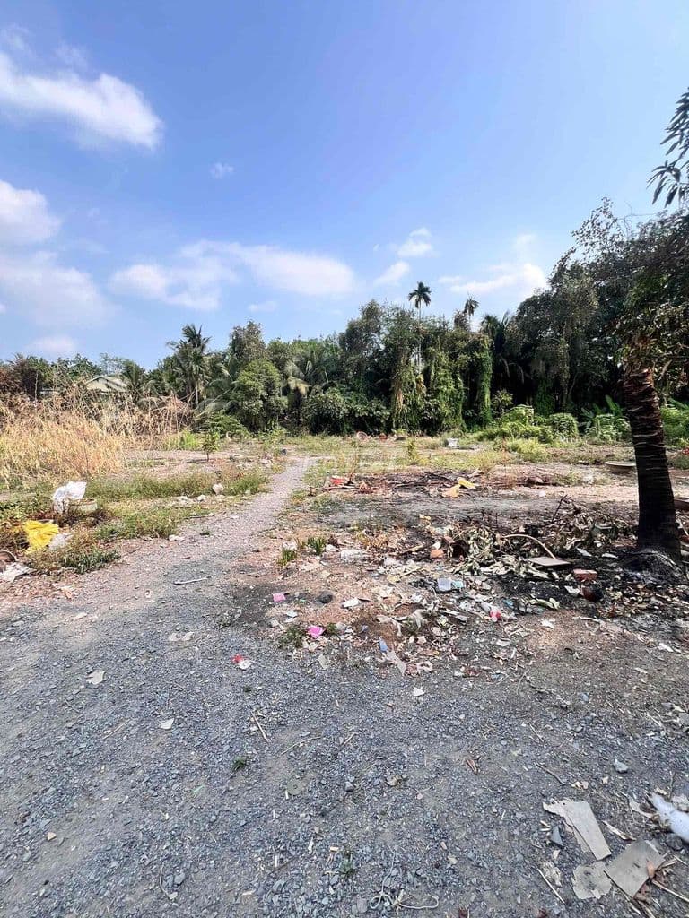 ĐẤT ĐẸP LÀM TRƯỜNG HỌC HOẶC BIỆT THỰ - Ảnh 2