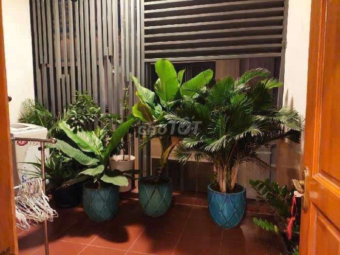 BÁN NHÀ KHU KS ĐỆ NHẤT - 50 M2 - RA SÂN BAY 10P