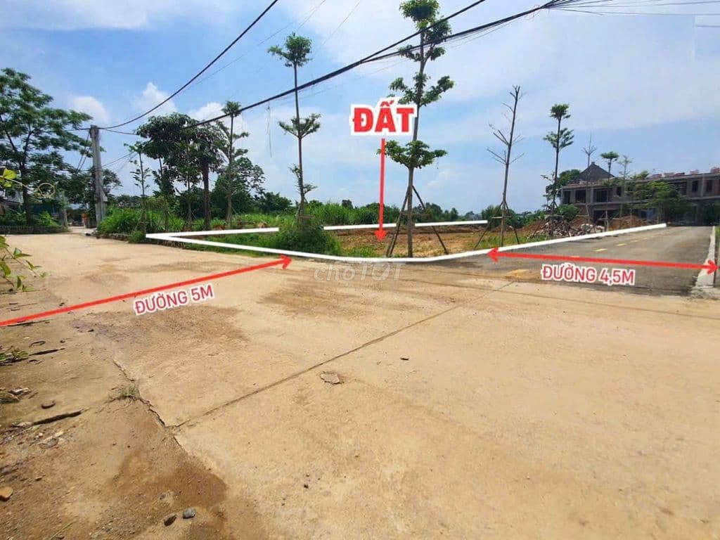 CHƯA ĐẾN 3 TỶ SỞ HỮU HƠN 100M2 FULL THỔ CƯ MẶT TIỀN 6M TẠI PHÚ CÁT - Ảnh 2