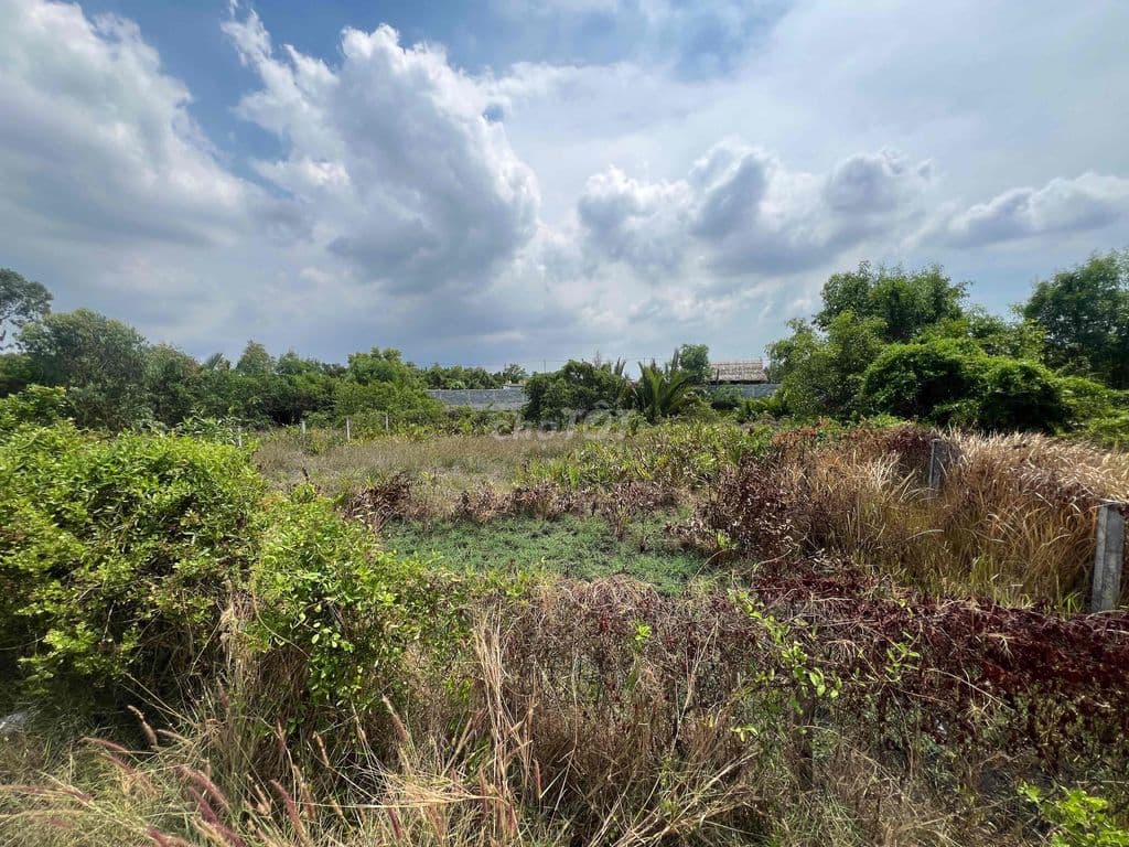 CHÍNH CHỦ BÁN LÔ ĐẤT VIEW SÔNG 1400m2