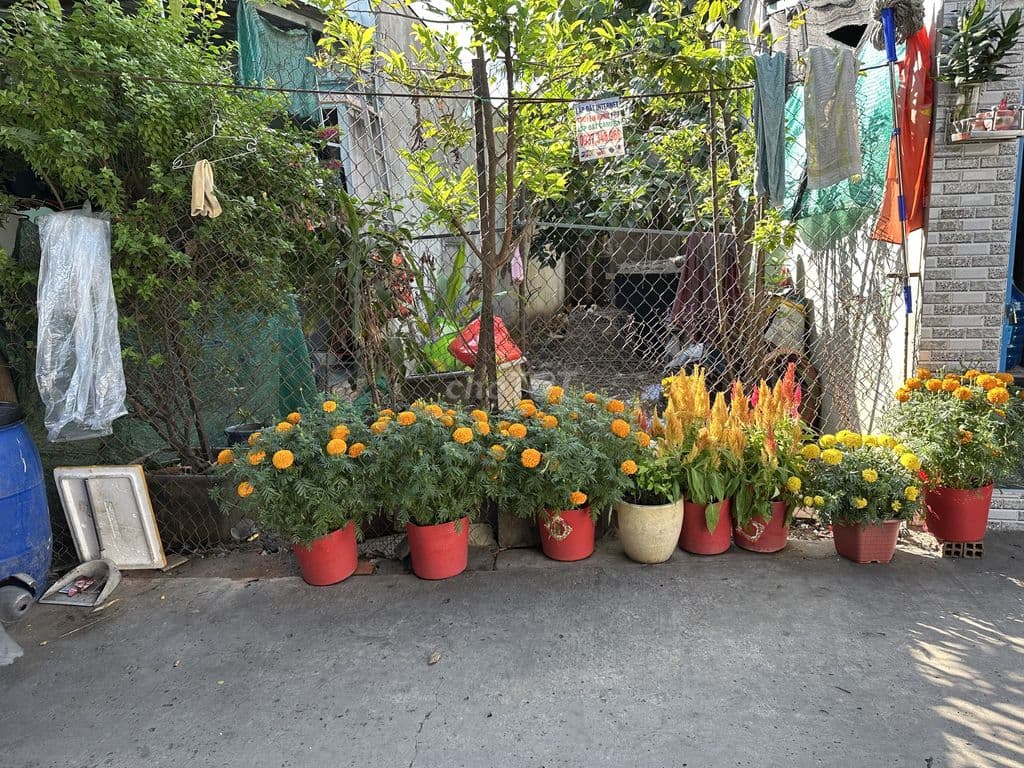 CẦN TIỀN BÁN GẤP - Ảnh 2