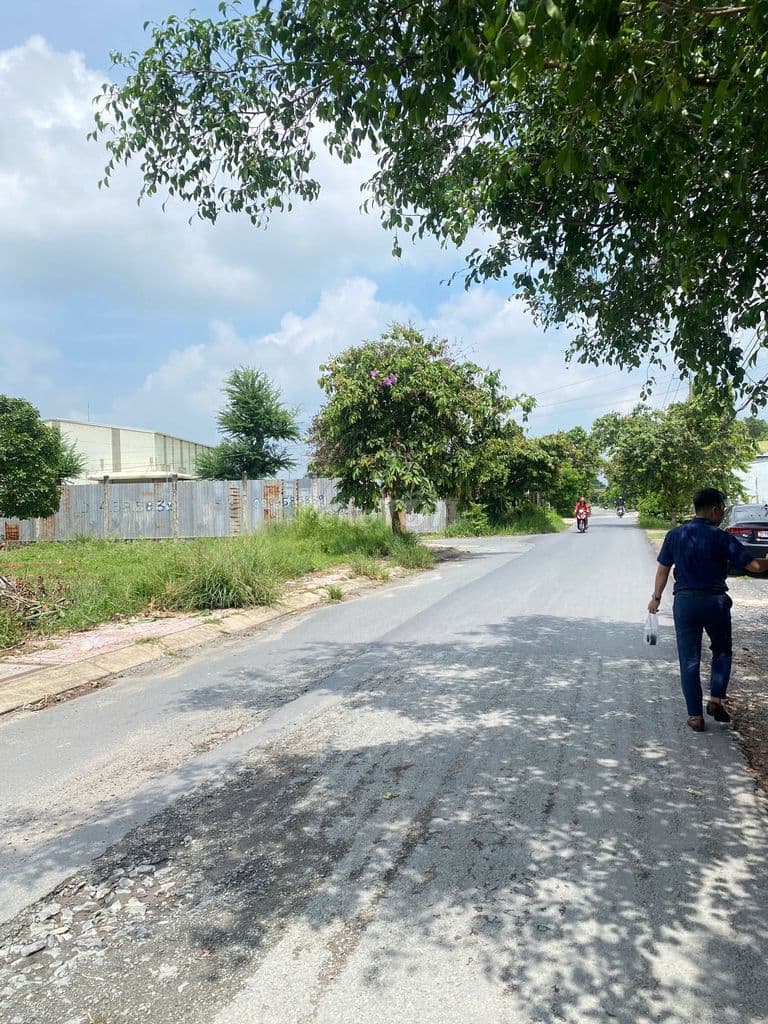 ĐẤT KHU DÂN CƯ TÂN PHÚ TRUNG CỦ CHI,5X26,130M2 FULL THỔ CƯ,SHR,550TR - Ảnh 2