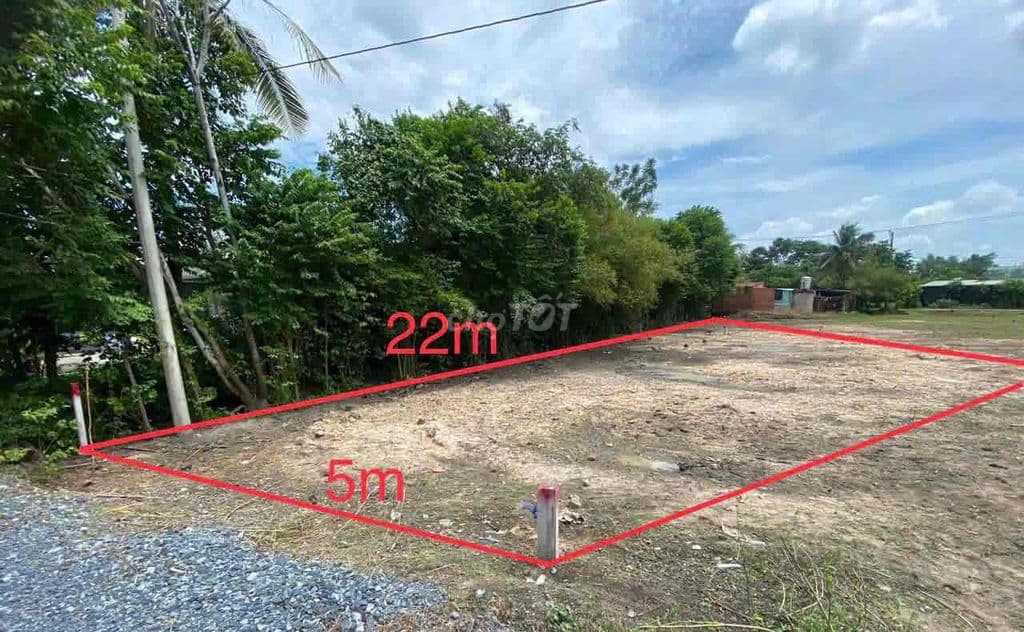 Cần bán đất 110m2 giá 650 triệu khu dân cư Basa, xã Phước Hiệp, Củ Chi - Ảnh 2