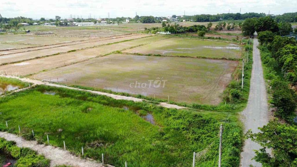 Mặt tiền đường Bưng tràm, Tân Thạnh Tây, Củ Chi dt : 650m đường 7m - Ảnh 2