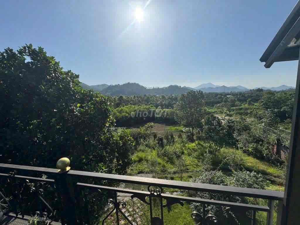 Mua Đất tặng Nhà 720m tại Sóc Sơn Mt 36m, view đẹp, kinh doanh tốt - Ảnh 2