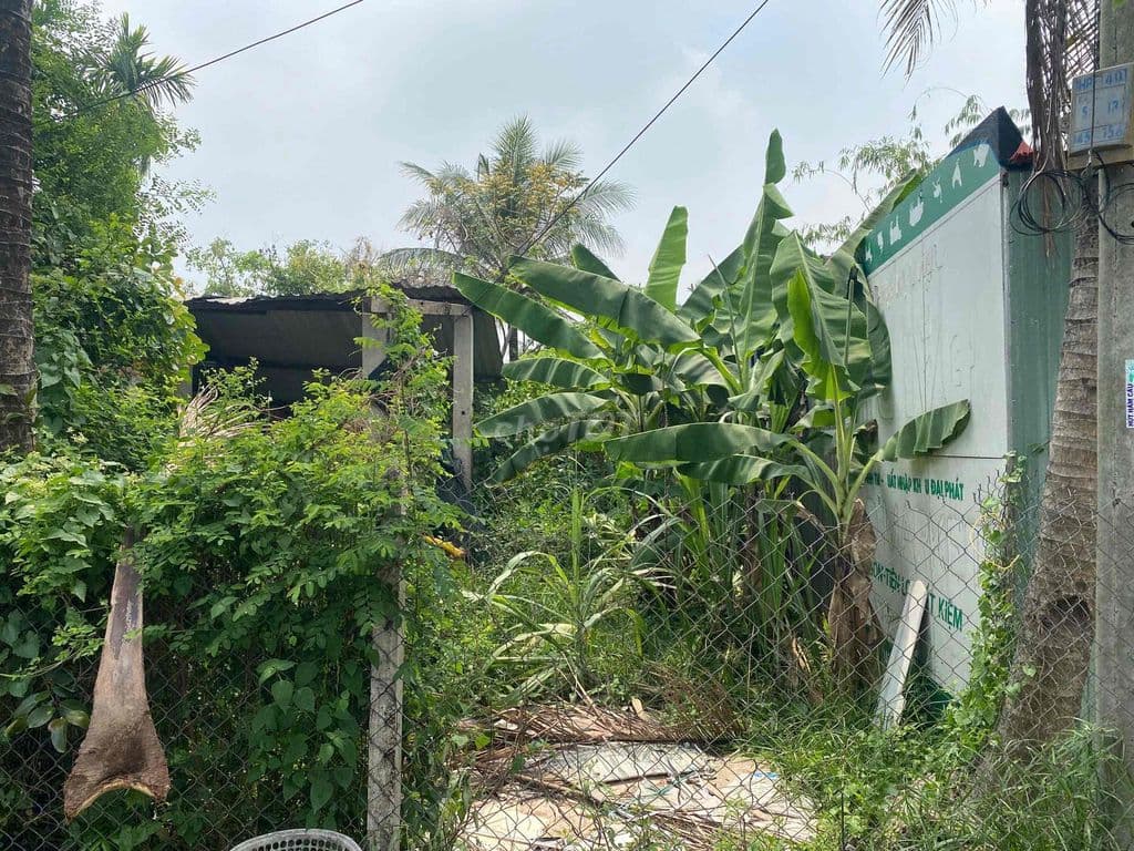 Cần bán nhanh 189 m2 đất Nhị Bình 15 - Ảnh 2