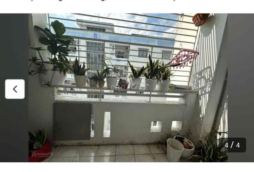 🏢 CĂN HỘ CHUNG CƯ PHÚ LỢI – QUẬN 8 - Ảnh 3