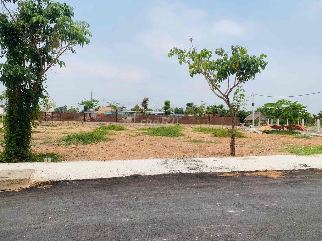 ĐẤT BÀ ĐIỂM 5x28 ĐƯỜNG NHỰA 7m FULL THỔ CƯ - Ảnh 3