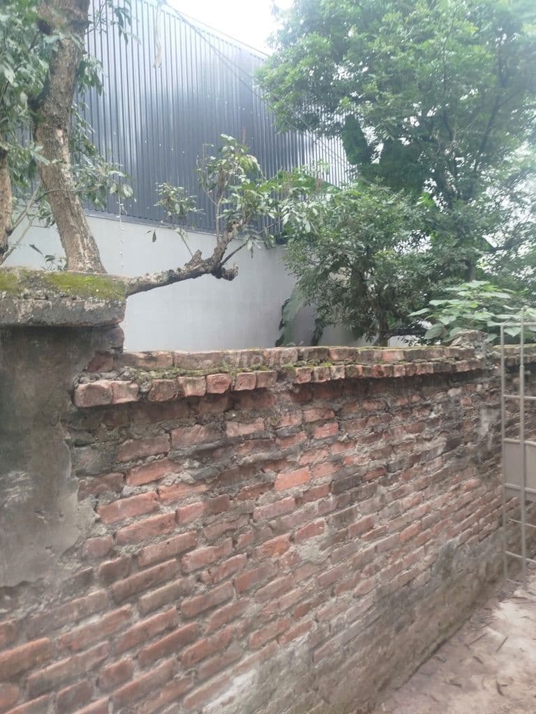 Bán 75,6m² đất thổ cư sổ đỏ Phụng Châu, Chương Mỹ - Ảnh 3