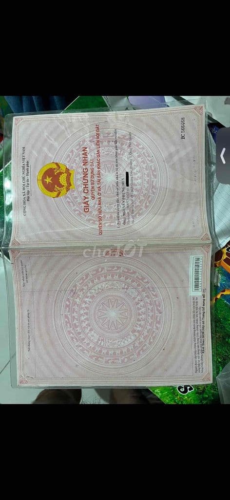 Bán đất vườn Long Phước - Ảnh 3