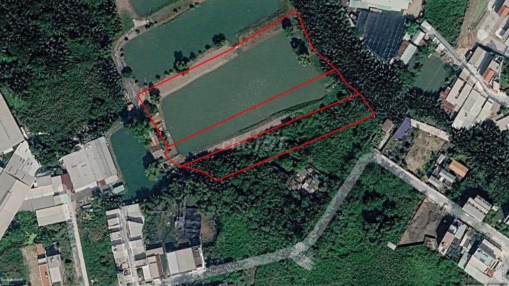 BÁN 8260M2 ĐẤT LÚA LANG, ĐƯỜNG NGUYỄN BÌNH, CHỈ 2.5 TRIỆU/M2 - Ảnh 3