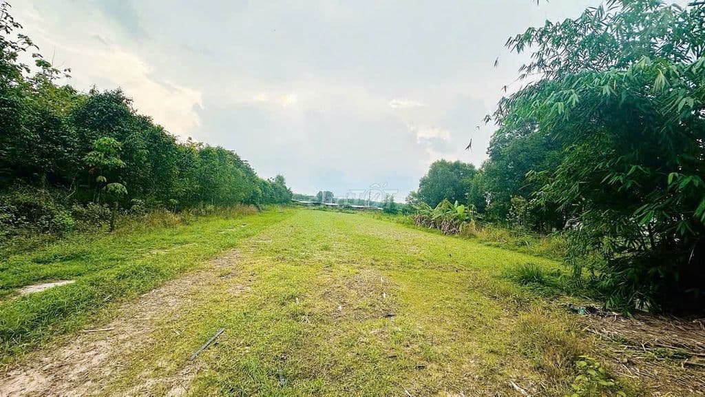 Cần bán: 5.000m2 đất vườn 2 sổ đỏ – An Nhơn Tây, Củ Chi – 6,8 tỷ