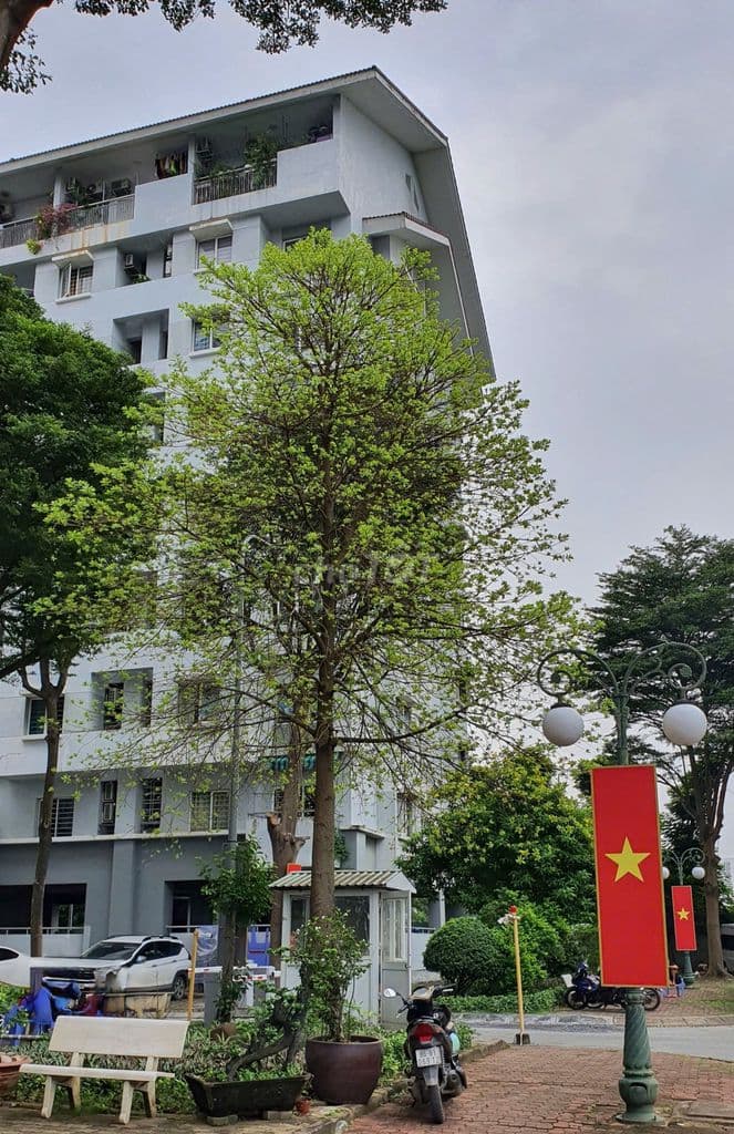 Cần bán căn hộ duplex 53m2 ngay The Global, đường Đỗ Xuân Hợp, Quận 9 - Ảnh 3