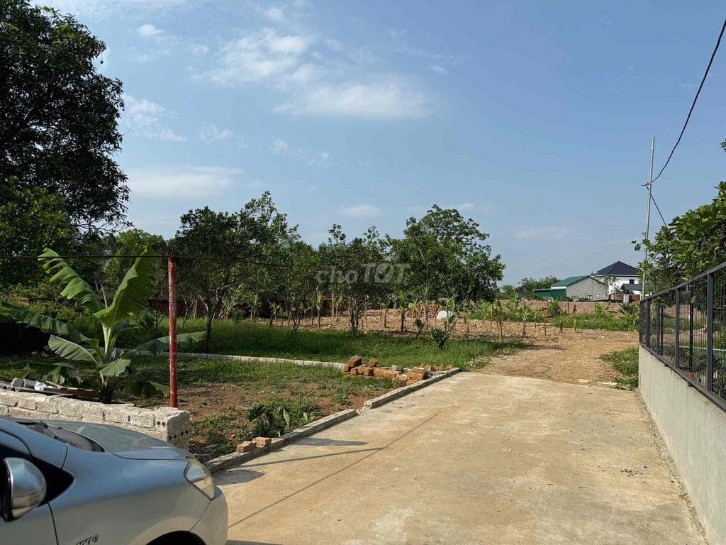 GĐ cần tiền trả nợ bán gấp - Ảnh 3