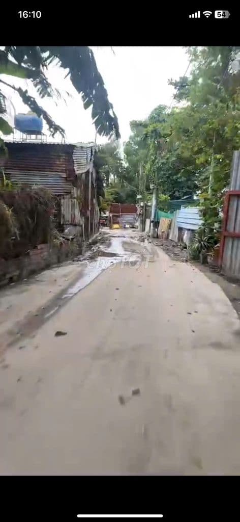 Bán đất CLN đường Ụ Ghe- Tam Phú, hẻm xe tải - Ảnh 3