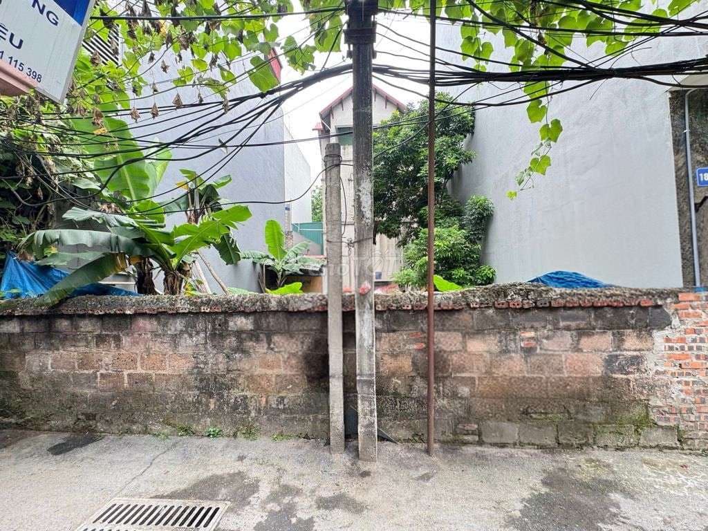 Bán Đất Trịnh Công Sơn ,cạnh Hồ Tây
