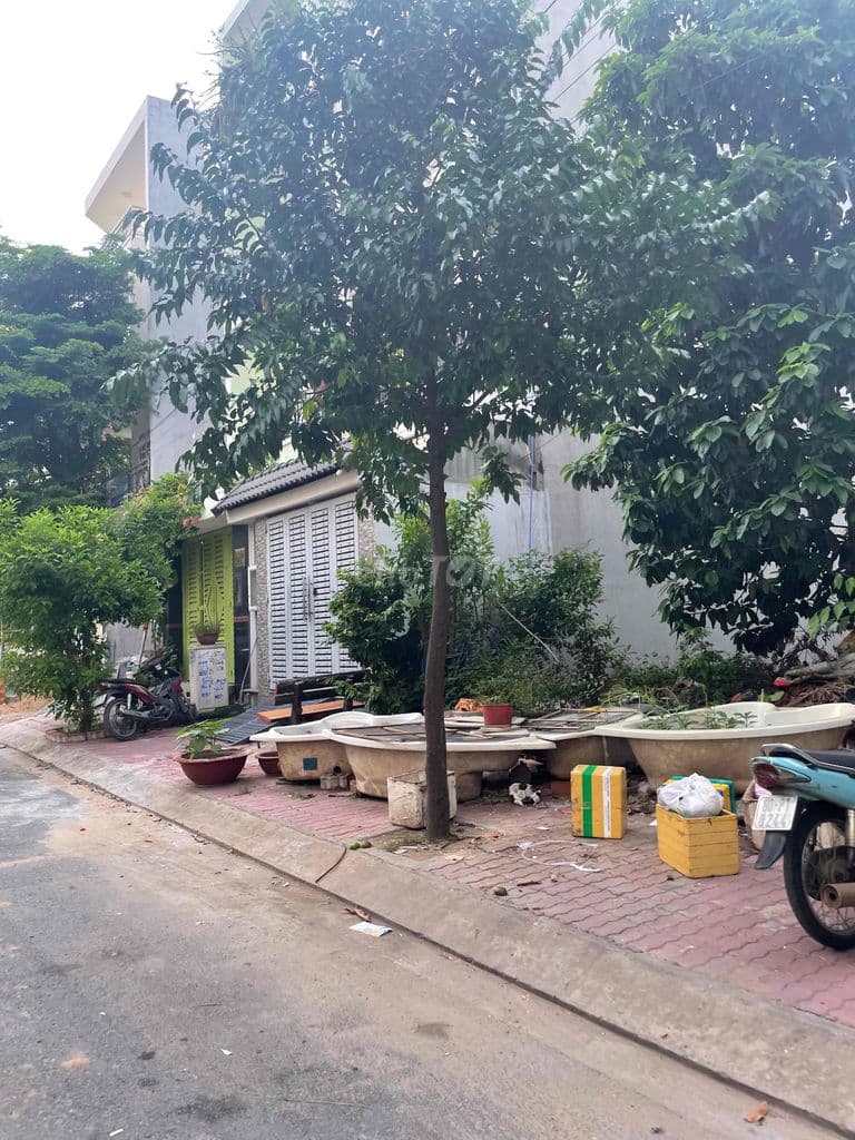 Giảm 500 triệu! Bán Lô đất cực đẹp 4x20, đường rộng 12m Đặng Thùy Trâm - Ảnh 2