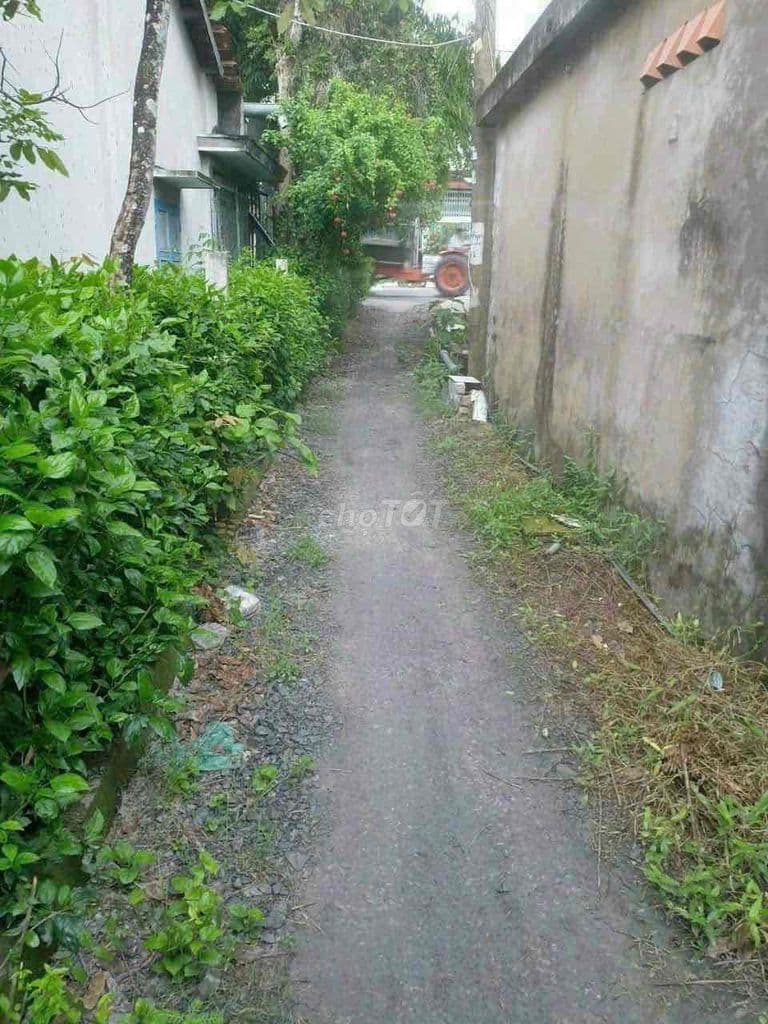 190m2 đất vườn được chuyển thổ cư xã Hưng Long Bình Chánh - Ảnh 3